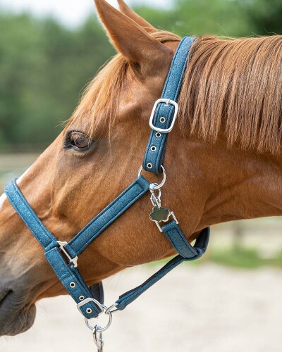 Médailles cheval acier personnalisées