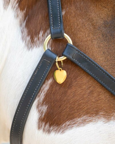 Médailles cheval acier inox doré