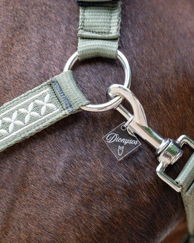 Médailles cheval plexiglas