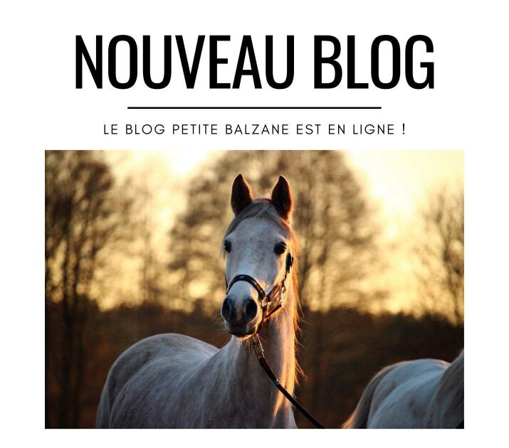 Découvrez le Blog Petite Balzane