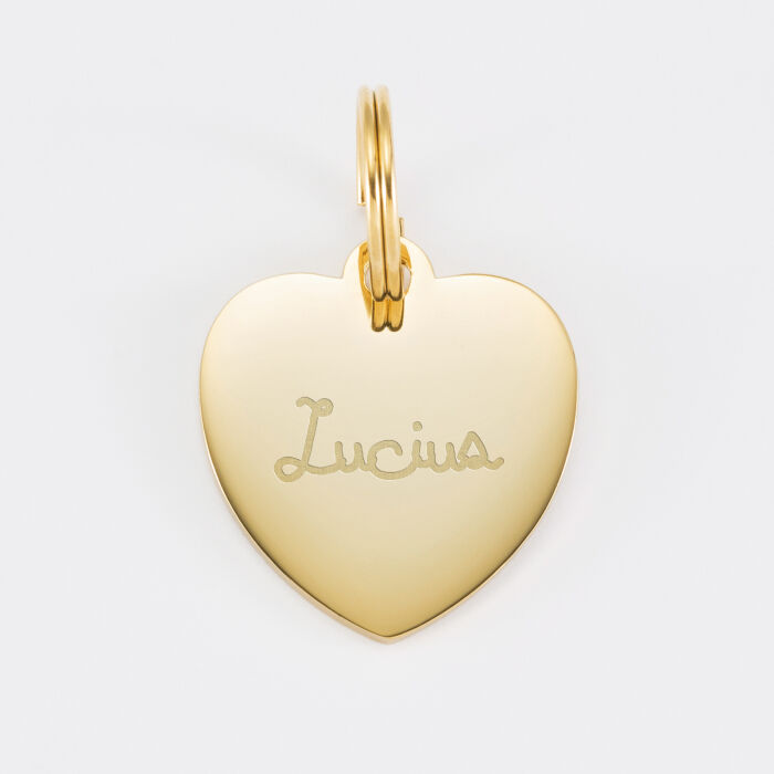 Médaille cheval personnalisée acier inoxydable doré coeur M