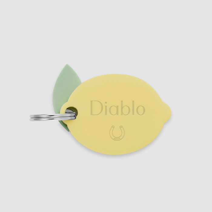 Médaille cheval personnalisée acrylique coloré Citron S