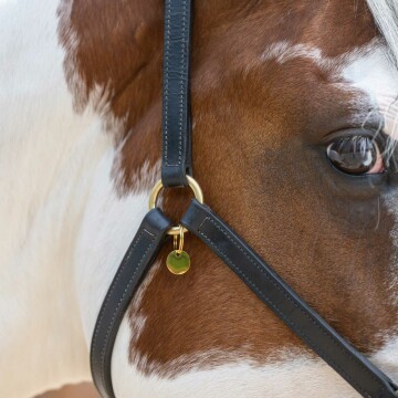 Médaille cheval personnalisée acier inoxydable ronde XS