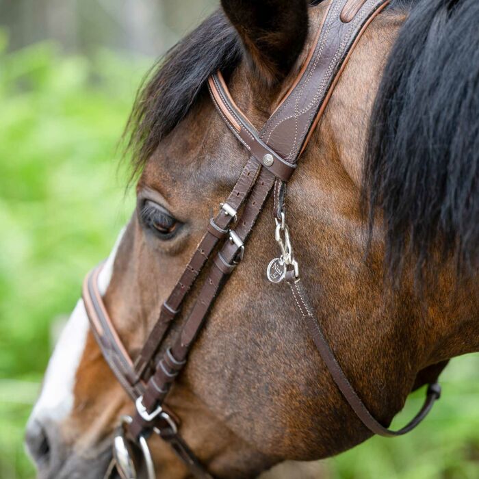 Médaille cheval personnalisée acrylique ronde S