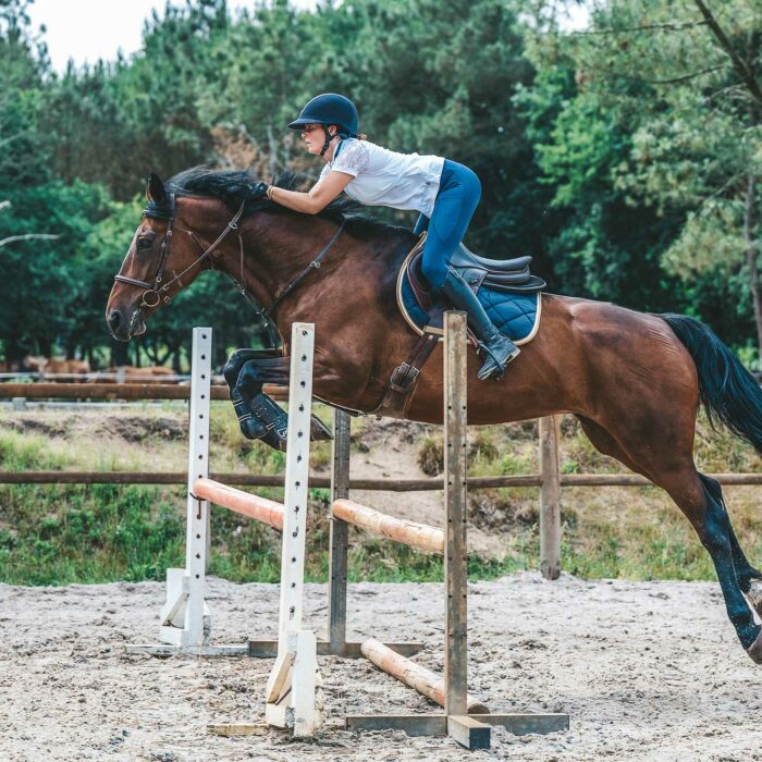 Médaille cheval personnalisée acier inoxydable doré ronde M