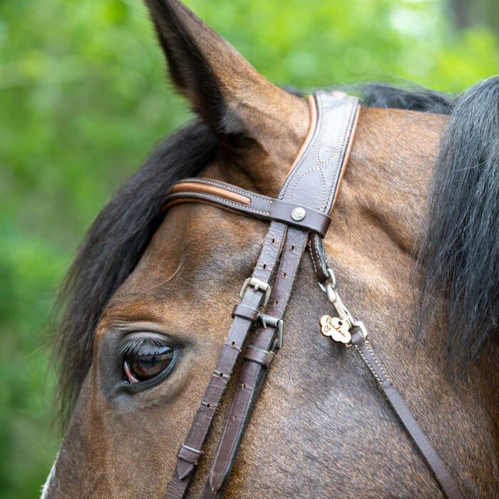 Médaille cheval personnalisée bois Nuage XS