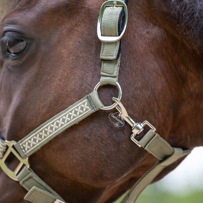 Médaille cheval personnalisée acrylique nuage XS