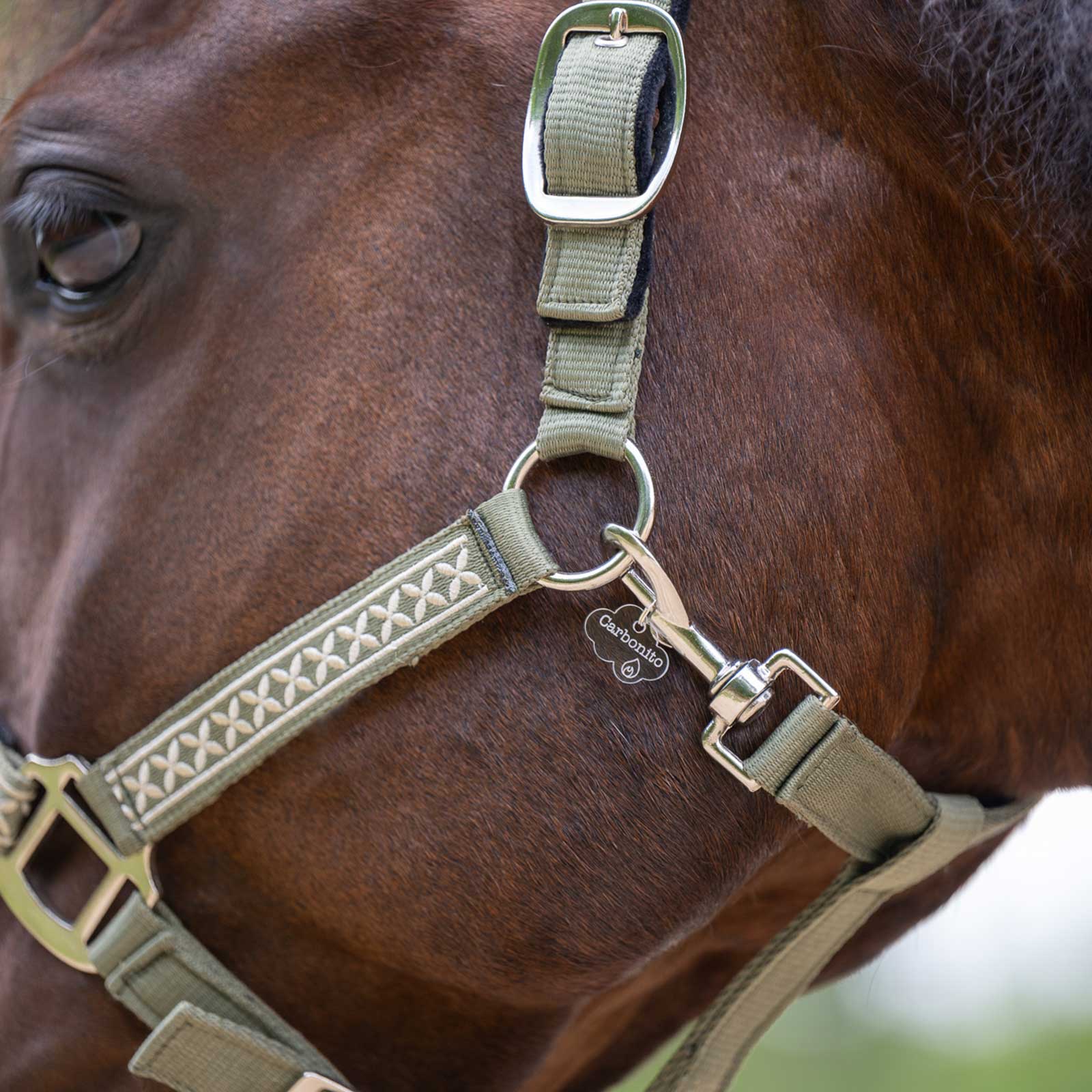 Licou De Show Kathy's Equipment - Taille Cheval, Cuir Marron Avec Argent Santana