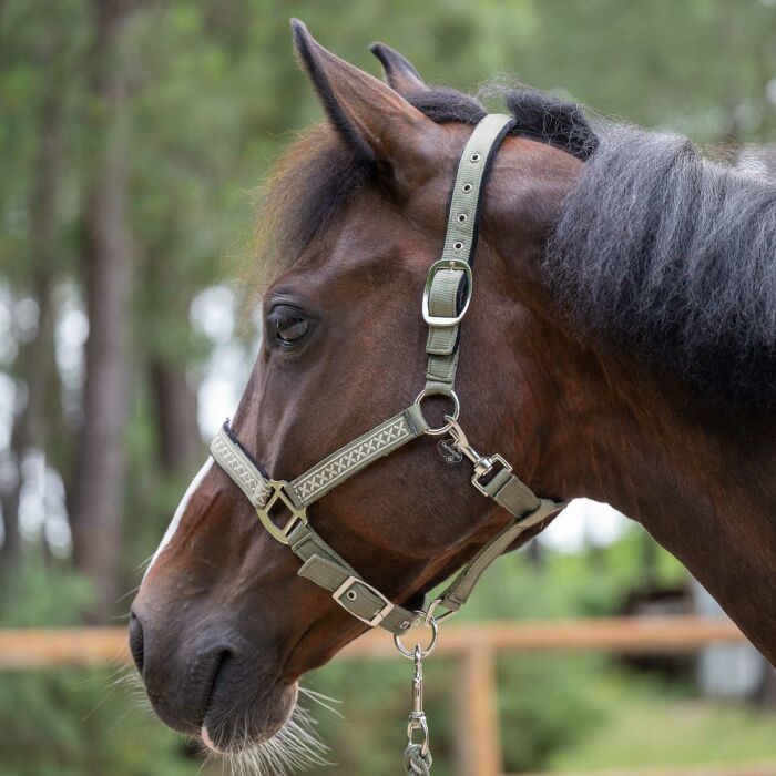 Médaille cheval personnalisée acrylique nuage XS