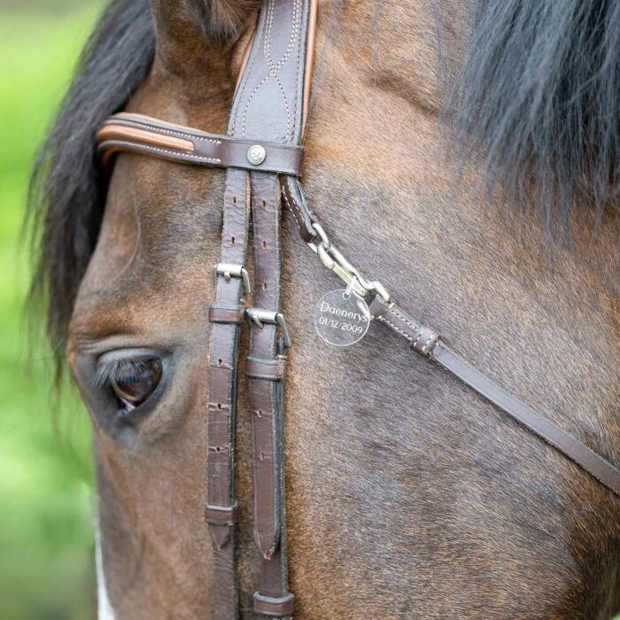 Médaille cheval personnalisée acrylique ronde M