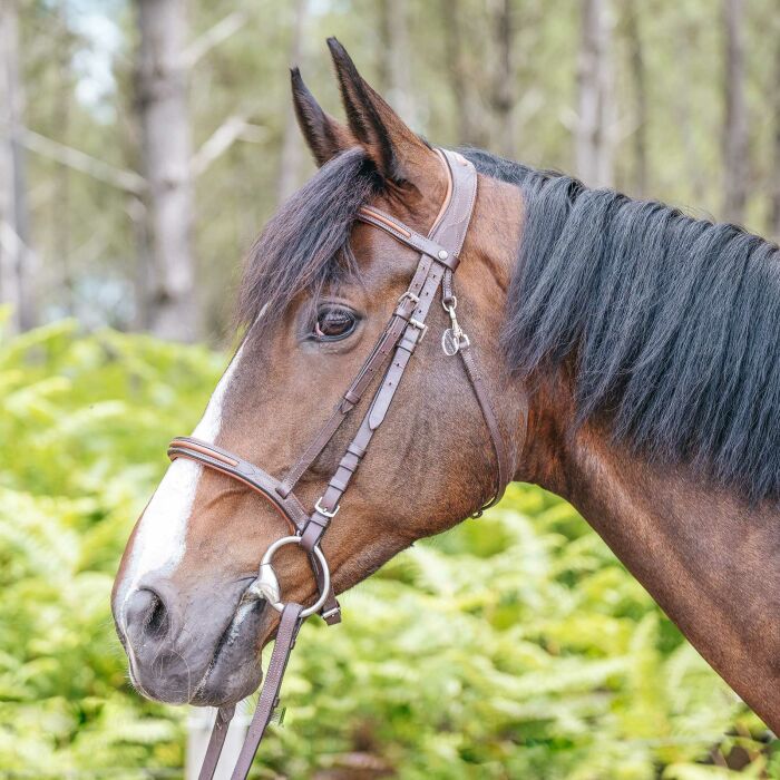 Médaille cheval personnalisée acrylique ronde M