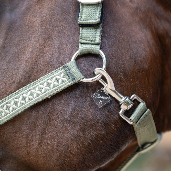 Médaille cheval personnalisée acrylique Losange S