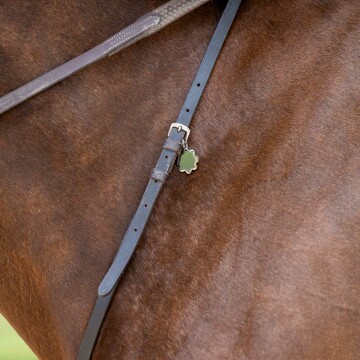 Médaille cheval personnalisée acier argenté Fleur S