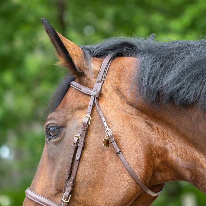 Médaille cheval personnalisée acier doré Fleur S
