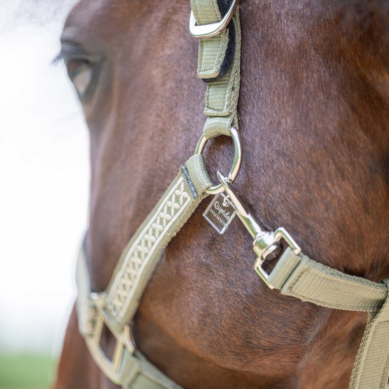 Têtière De Cheval En Cuir Marron Avec Strass, Modèle Custom Bling