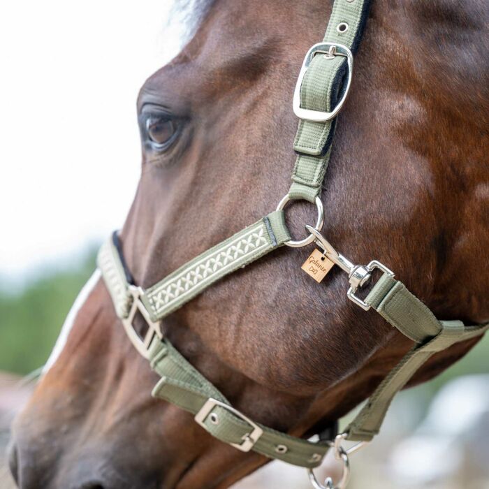 Médaille cheval personnalisée bois Carrée XS