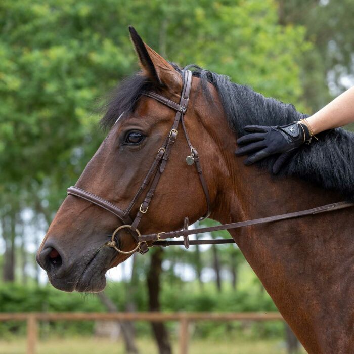 Médaille cheval personnalisée acier inoxydable coeur S