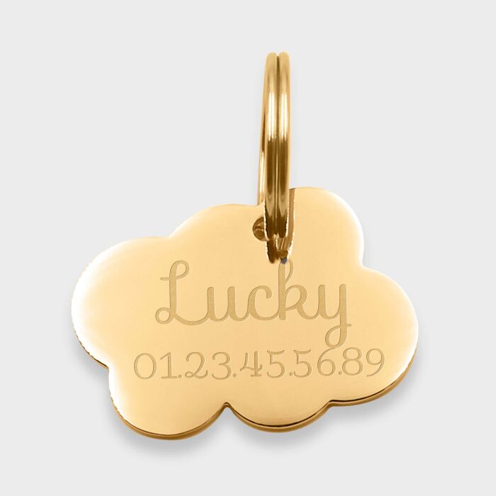 Médaille cheval personnalisée acier inoxydable doré Nuage L