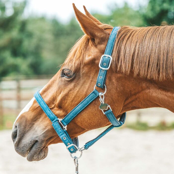 Médaille cheval personnalisée acier inoxydable doré Nuage L