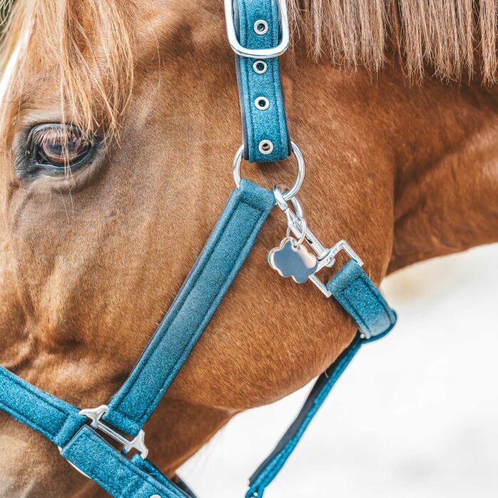 Médaille cheval personnalisée acier inoxydable doré Nuage L