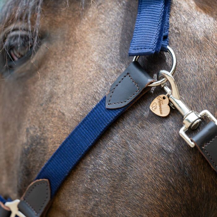 Médaille cheval personnalisée bois cœur 19x21mm M
