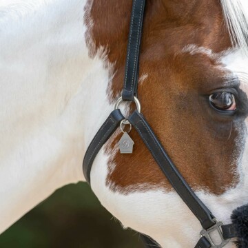 Médaille cheval personnalisée acier argenté Maison 29x30mm M