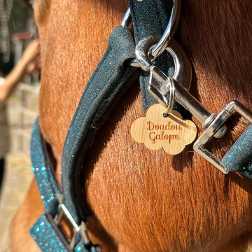 Médaille cheval personnalisée bois Nuage 35x26mm L