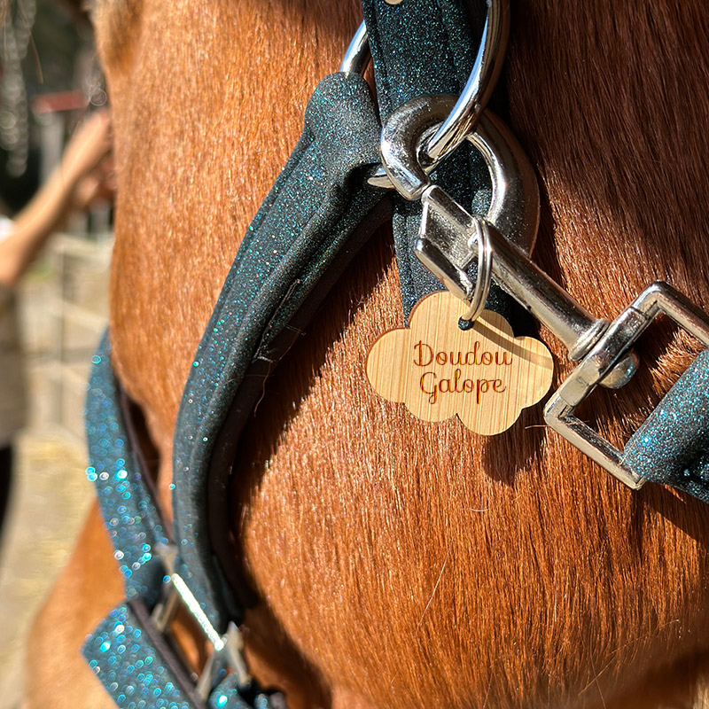 Médaille personnalisée cheval Losange acrylique S | Petite Balzane