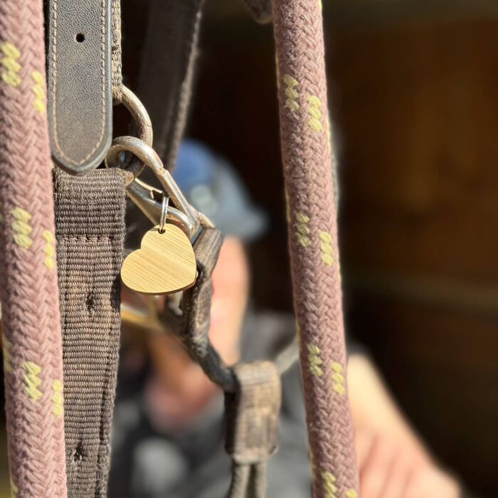 Médaille cheval personnalisée bois coeur 19x21mm M