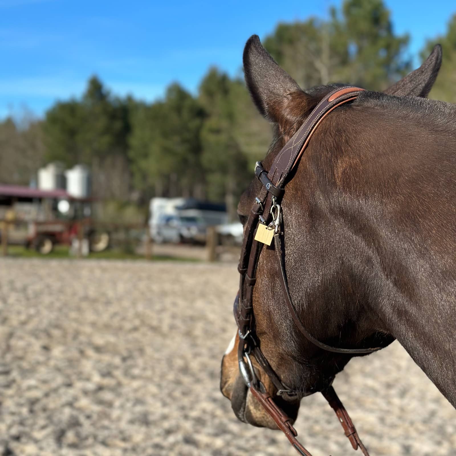 Pont De Jardin En Bois De Pièce D’Eau En Bois De Pin, Ancien Pont De Paysage Pont Decoratif Pour 150 X 67 X 55cm Marron Avec Chaines 96236869