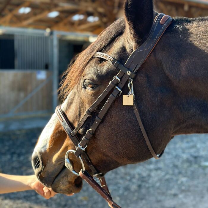 Médaille cheval personnalisée bois Carrée 18x18mm S