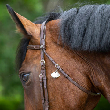 Médaille cheval personnalisée acier inoxydable Nuage 25x18mm M