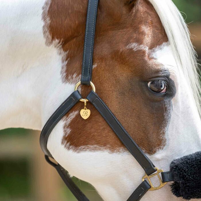 Médaille cheval personnalisée acier inoxydable doré coeur 23x26mm