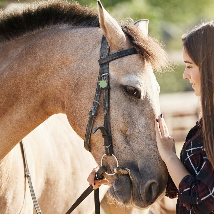 Médaille cheval personnalisée acrylique coloré Fleur 27mm