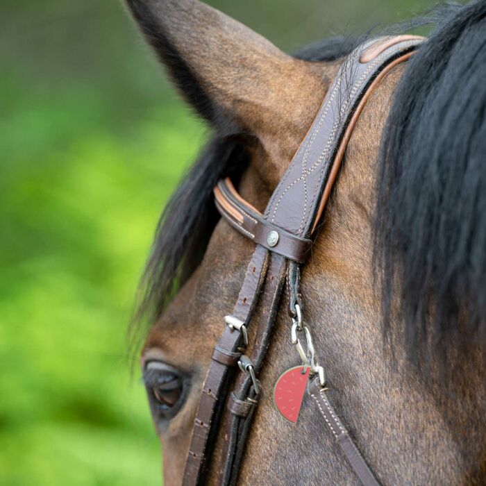 Médaille cheval personnalisée acrylique coloré Pastèque 20x40mm