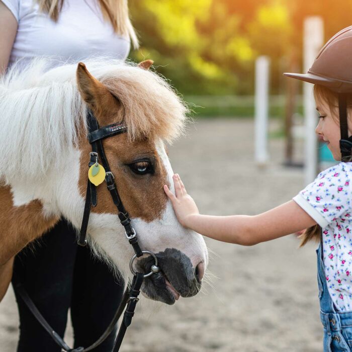 Médaille cheval personnalisée acrylique coloré Citron 23x31mm